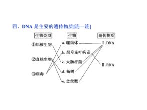 DNA 從遺傳物質到合成技術研發(fā)的探索