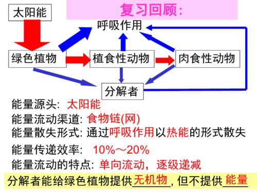 生態(tài)系統(tǒng)的物質循環(huán) 合成技術研發(fā)的視角
