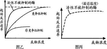 合成技術研發(fā)中的酶競爭性抑制機制及其啟示
